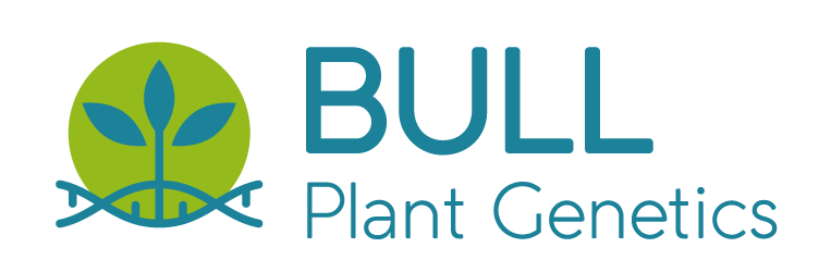 Bull Plant Genetics