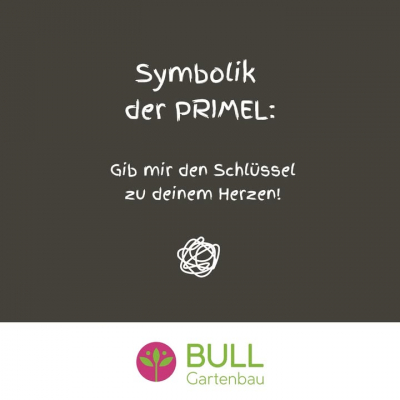 Bull Plant Genetics - Bull Plant Genetics